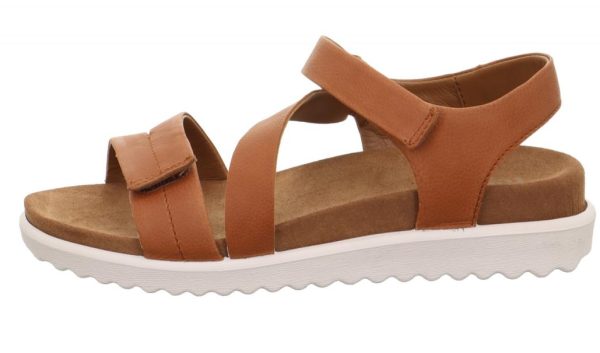 Shaniceopela.shop6ec22eeb6f 1